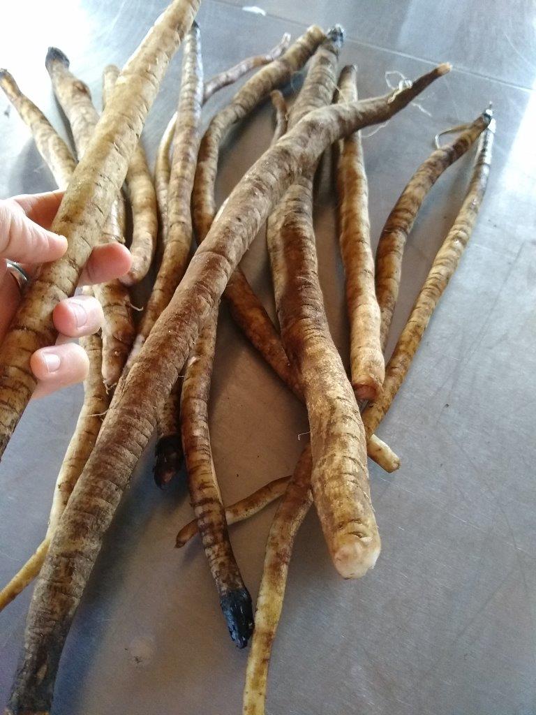 pickled-burdock-yamagobo-deep-root-organic-co-op