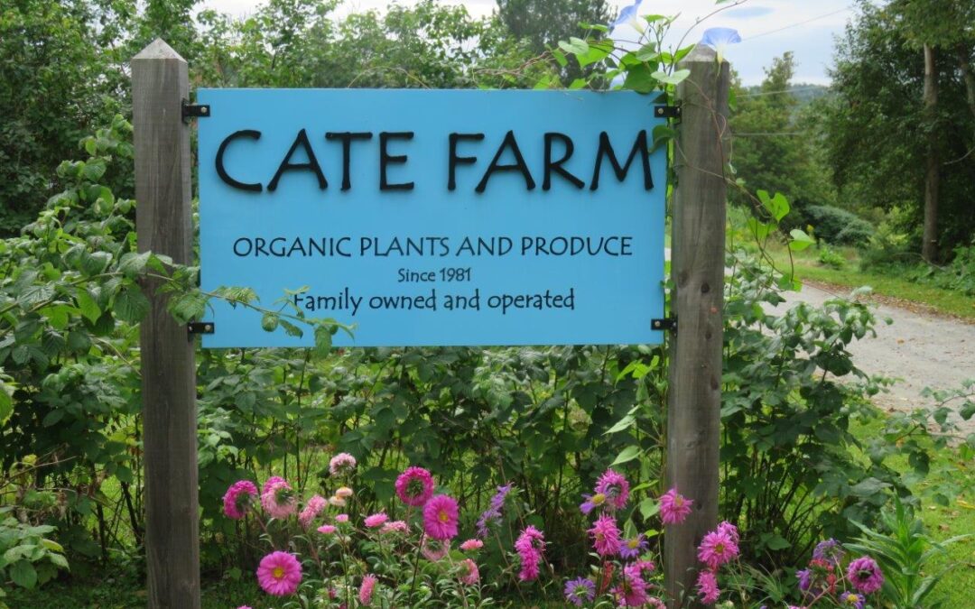Cate Farm